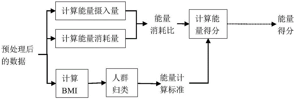 结合BMI的个体膳食能量计算方法与流程