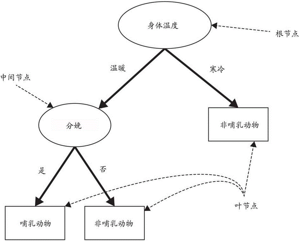 對(duì)圖像的對(duì)象進(jìn)行分類的方法和設(shè)備及計(jì)算機(jī)程序產(chǎn)品與流程