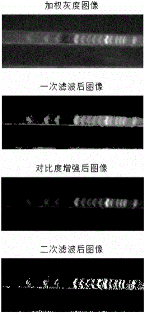 從凝膠電泳條帶圖像中獲取DNA色譜的方法與流程