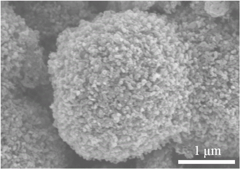 一种立方co62n62c纳米囊泡微结构组装体电催化剂的制备方法与流程