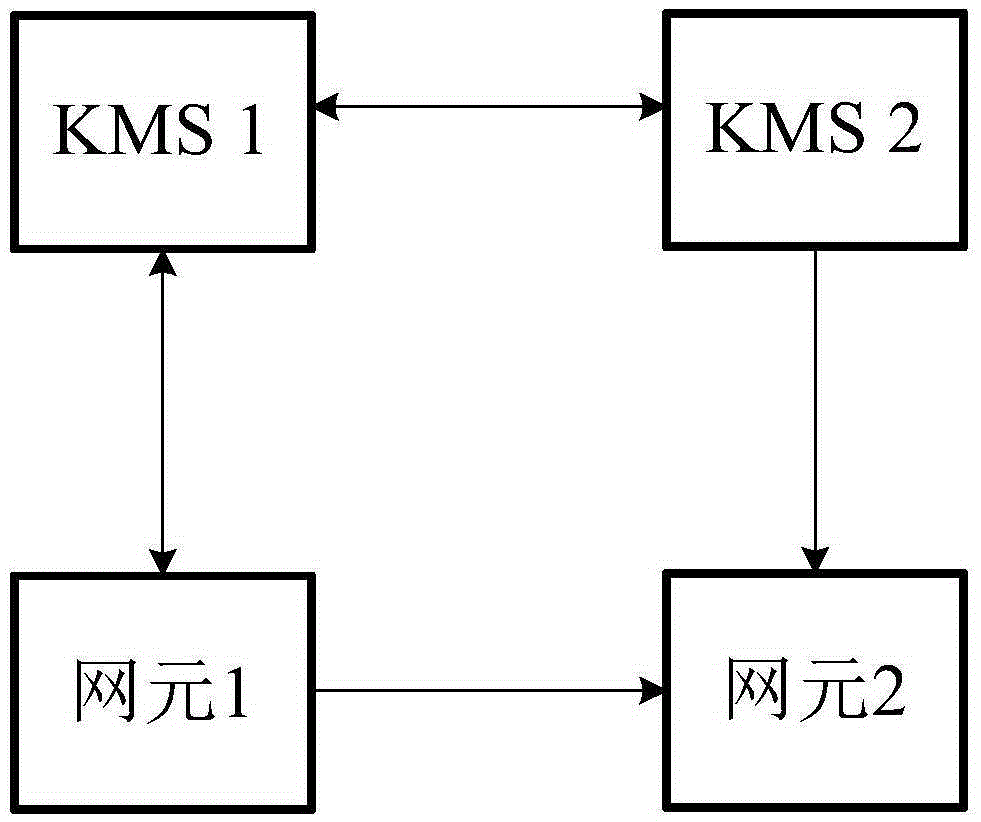 密钥分发和接收方法、密钥管理中心、第一和第二网元与流程