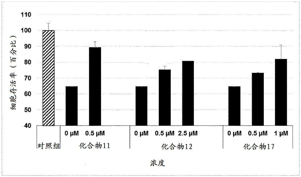 O‑烷基‑苯亚甲基胍衍生物及其治疗与错误折叠蛋白质累积有关疾病的治疗用途的制作方法与工艺