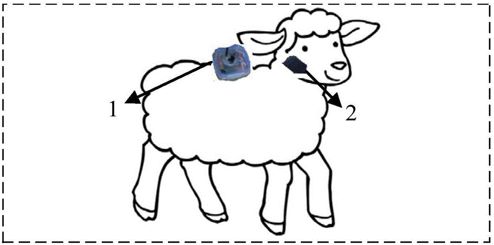 一种草原放牧绵羊牧食行为检测系统的制作方法与工艺