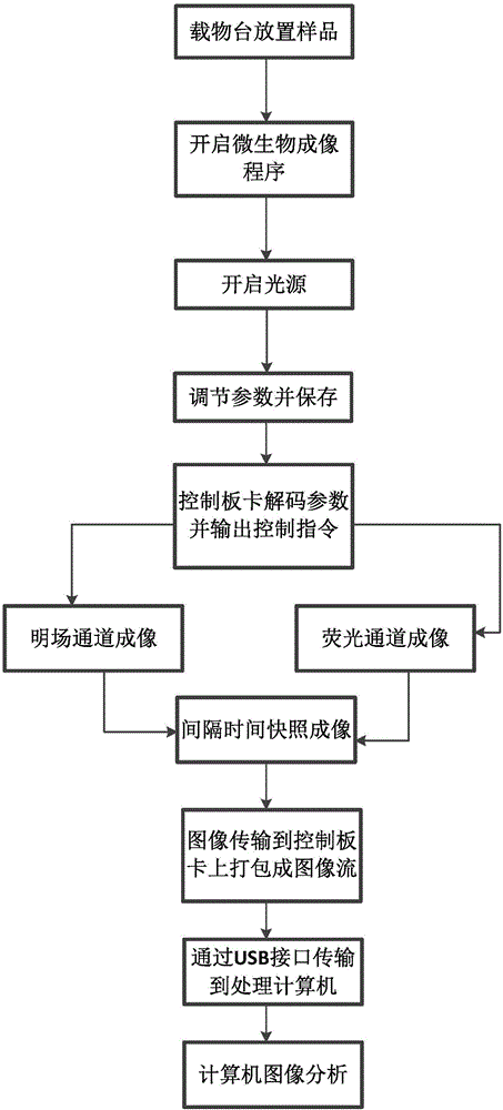 雙向快速微生物成像系統的制作方法與工藝