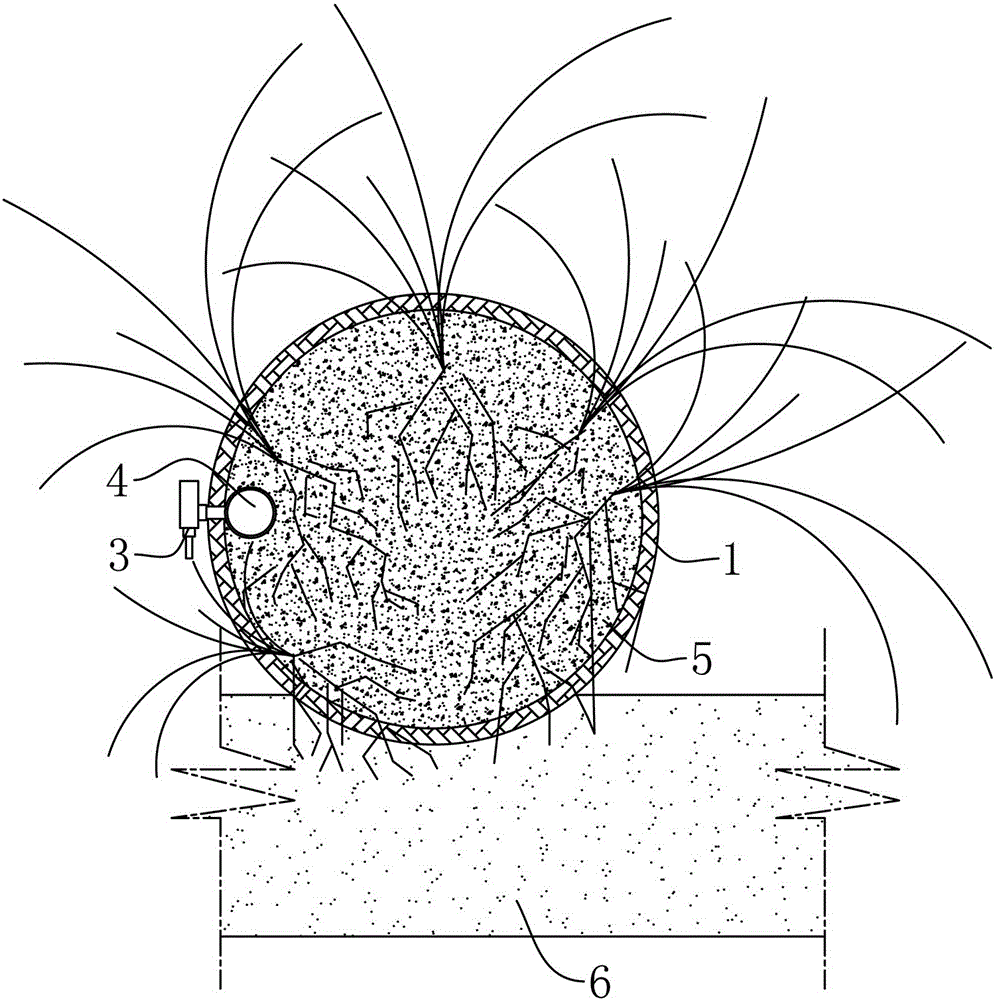 植生带和使用该植生带制作的植生网的制作方法与工艺