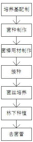 靈芝種植方法與制造工藝