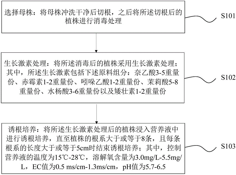 水培方法與制造工藝