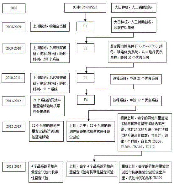 一種強抗寒高產、品質優良的甘藍型冬油菜品種的育種方法與制造工藝