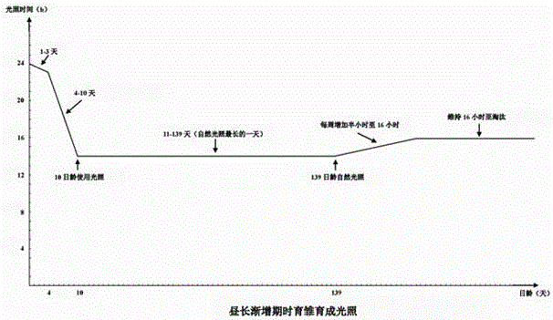 一種對禽類進(jìn)行光照精細(xì)化管理的方法與制造工藝