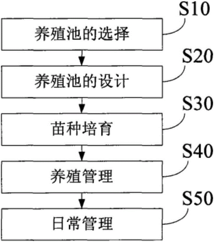 一種娃娃魚的養(yǎng)殖方法與制造工藝