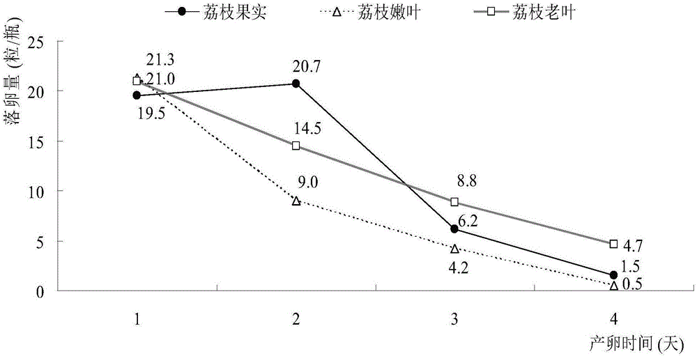 一种利用荔枝干果皮收集荔枝蒂蛀虫卵的方法与制造工艺
