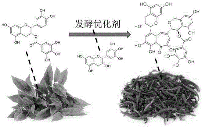 一種增色增味的發(fā)酵茶葉及其生產(chǎn)方法與制造工藝