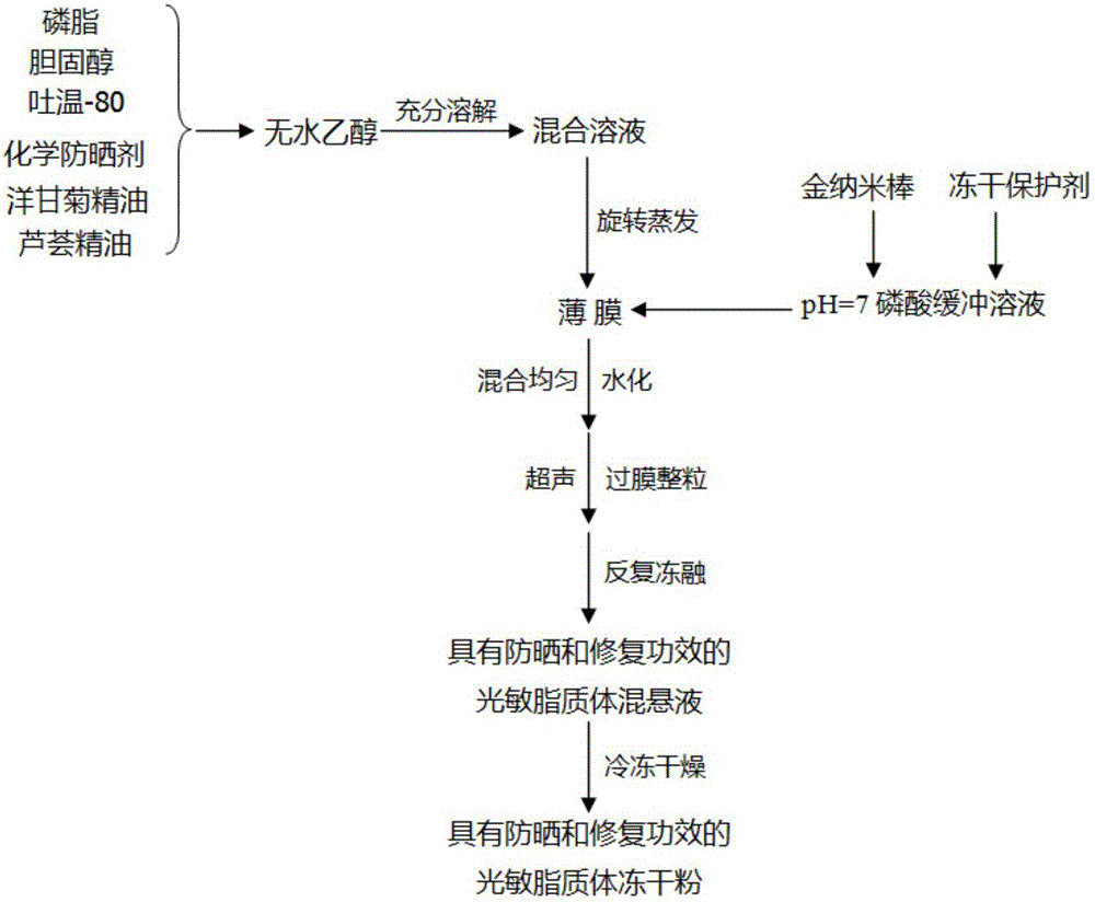 具有防曬修復(fù)功效的光敏脂質(zhì)體凍干粉及制備和應(yīng)用的制造方法與工藝