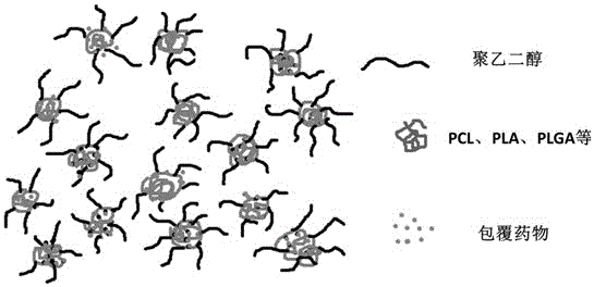 一種藥物緩釋型聚合物膠束的制備方法與制造工藝