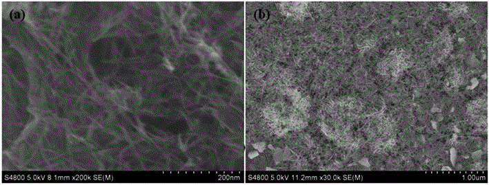 一种钛酸锌纳米线材料及其在钙钛矿太阳能电池中的应用的制造方法与工艺