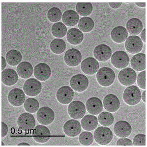 一种金/氮掺杂的空心碳纳米球核壳材料的制备方法与制造工艺