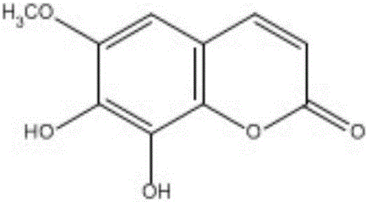 秦皮素在制備治療疫病結(jié)腸癌的藥物中的應(yīng)用的制造方法與工藝