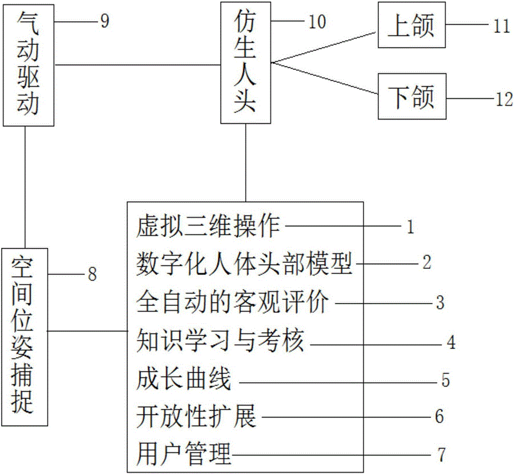 基于虚拟现实与位姿传感技术的虚拟口腔医学训练系统的制造方法与工艺