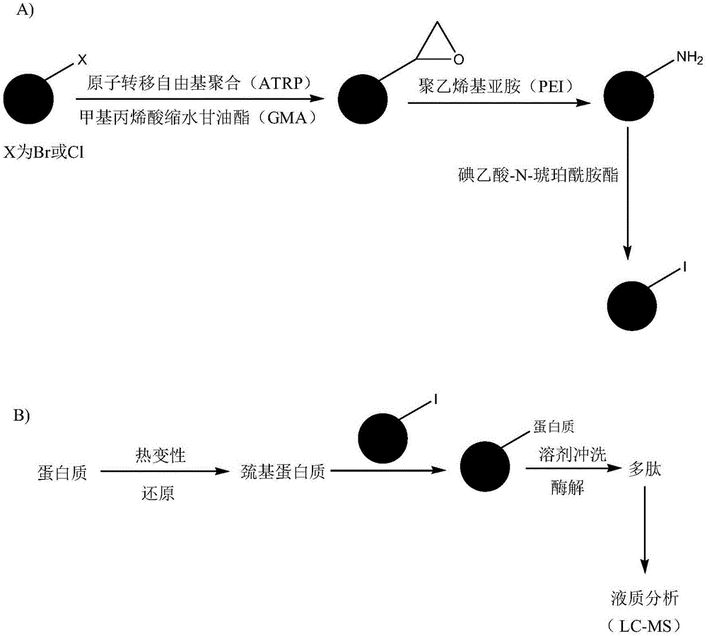 蛋白质固相烷基化试剂的制备及固相烷基化试剂和应用的制造方法与工艺