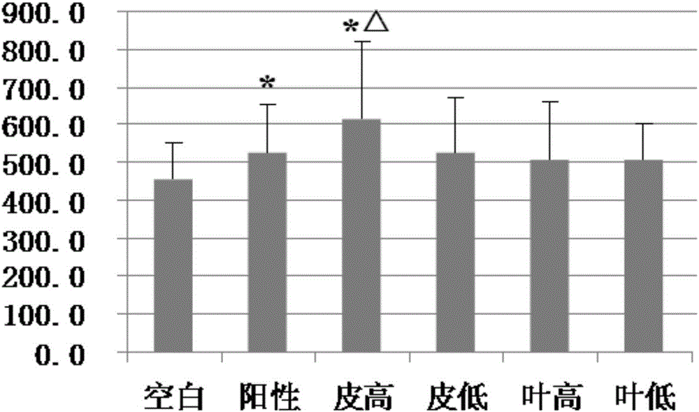 紅毛五加葉的新用途的制造方法與工藝