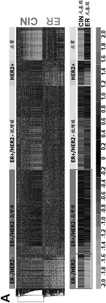 確定癌癥侵襲性、預后和治療響應的制造方法與工藝