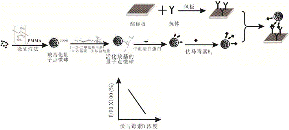 一种针对伏马毒素B1的灵敏检测方法与制造工艺