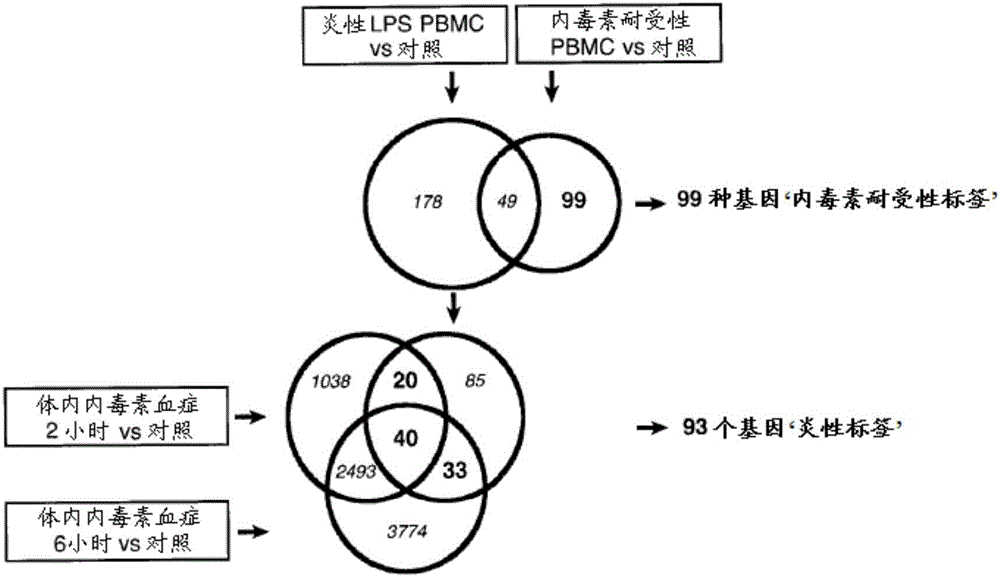 用于脓毒症的诊断的制造方法与工艺