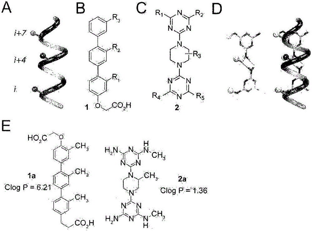 具有三嗪‑哌嗪主链的α‑螺旋类似物及其制备方法与制造工艺