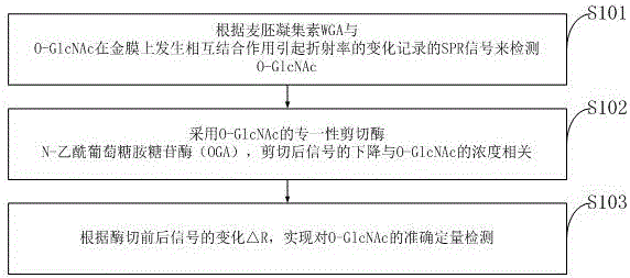 一種O?GlcNAc定量檢測方法與制造工藝