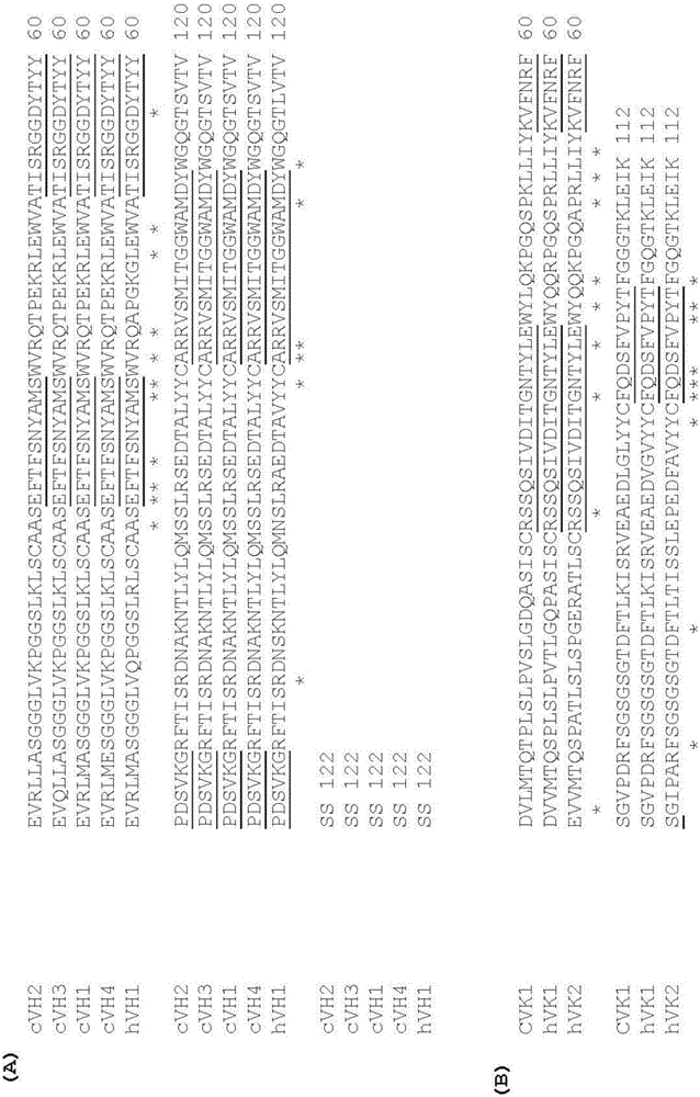 抗IL?15的抗體的制造方法與工藝