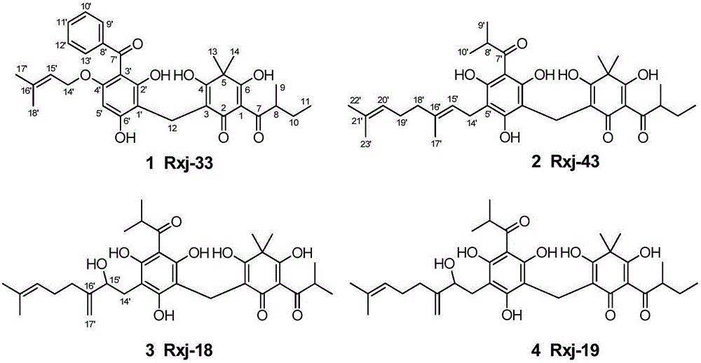 绵马次酸类化合物及其药物组合物与应用的制造方法与工艺