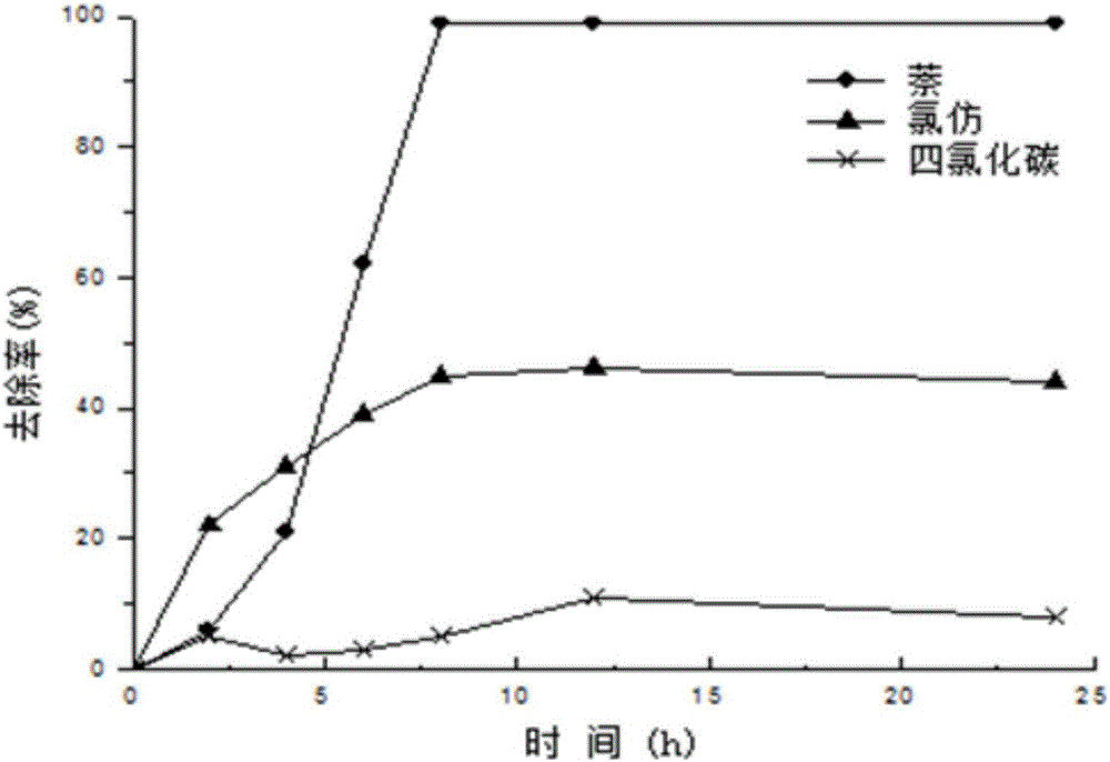 萘作為碳源共代謝降解氯仿的菌種、使用及實(shí)驗(yàn)驗(yàn)證方法與制造工藝