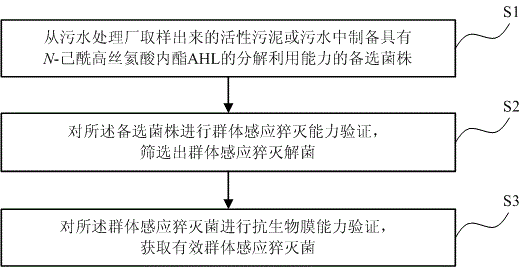 一种群体感应猝灭菌制备方法、MBR膜污染防治方法及装置与制造工艺