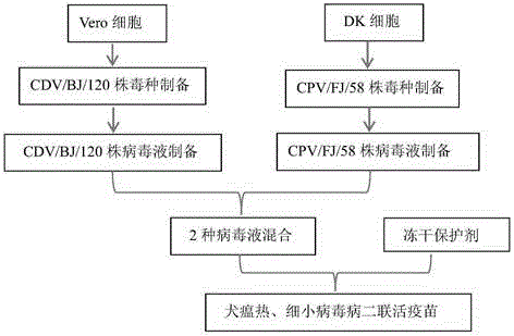 一種犬瘟熱、細(xì)小病毒病二聯(lián)活疫苗及其制備方法與制造工藝