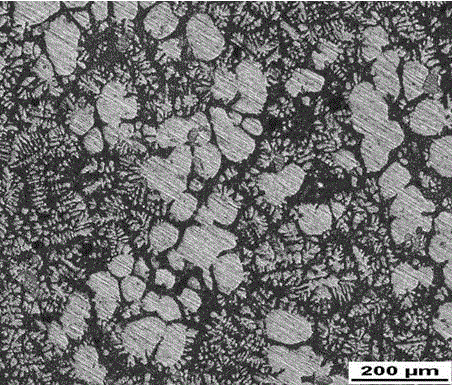 一种涂覆氧化铝的晶须碳纳米管/铝基复合材料半固态坯料的制备方法与制造工艺