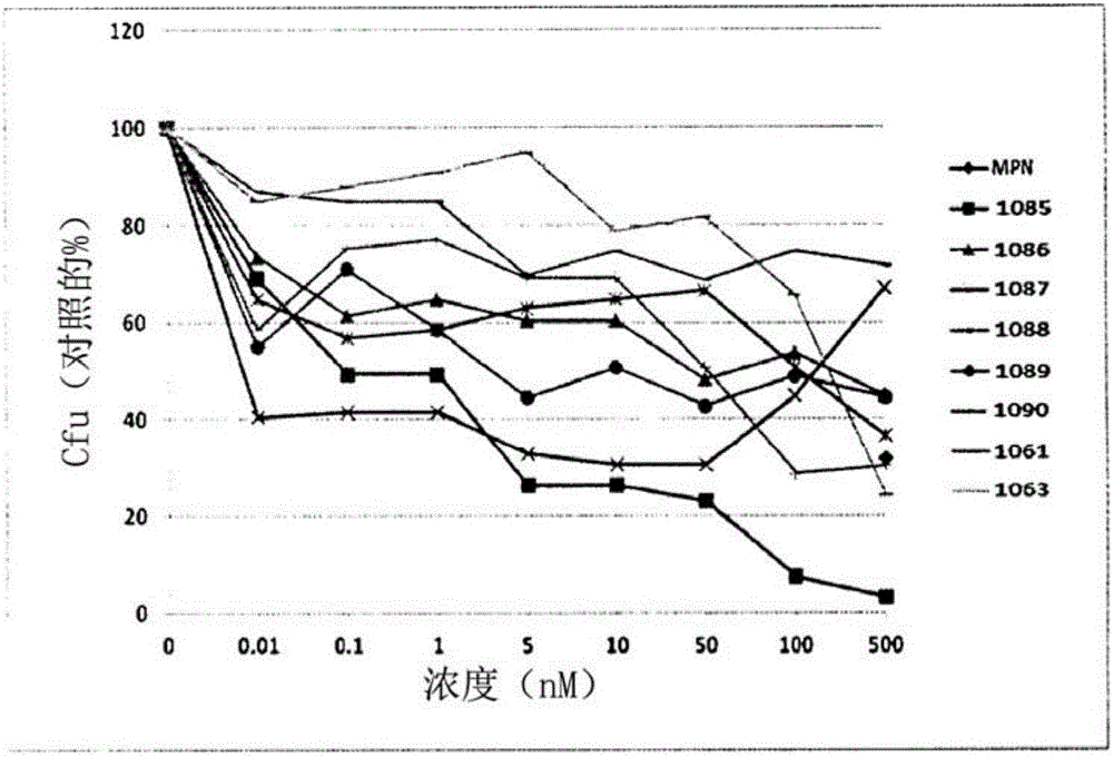 作为抗结核剂的新化合物的制造方法与工艺