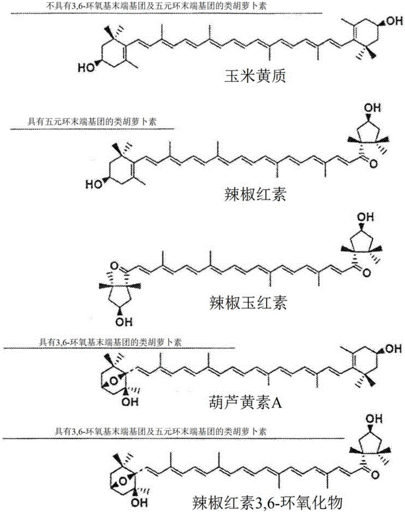 紅細胞功能提高劑的制造方法與工藝