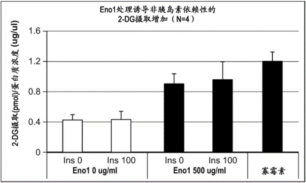 烯醇酶1(ENO1)组合物及其用途的制造方法与工艺