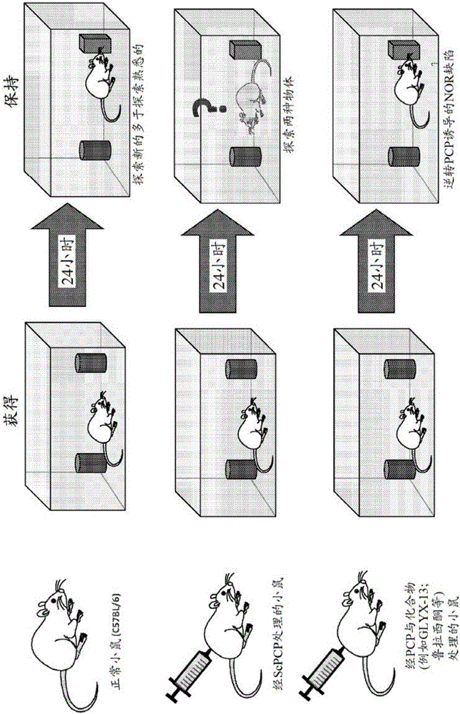 NMDAR調(diào)節(jié)化合物的組合的制造方法與工藝