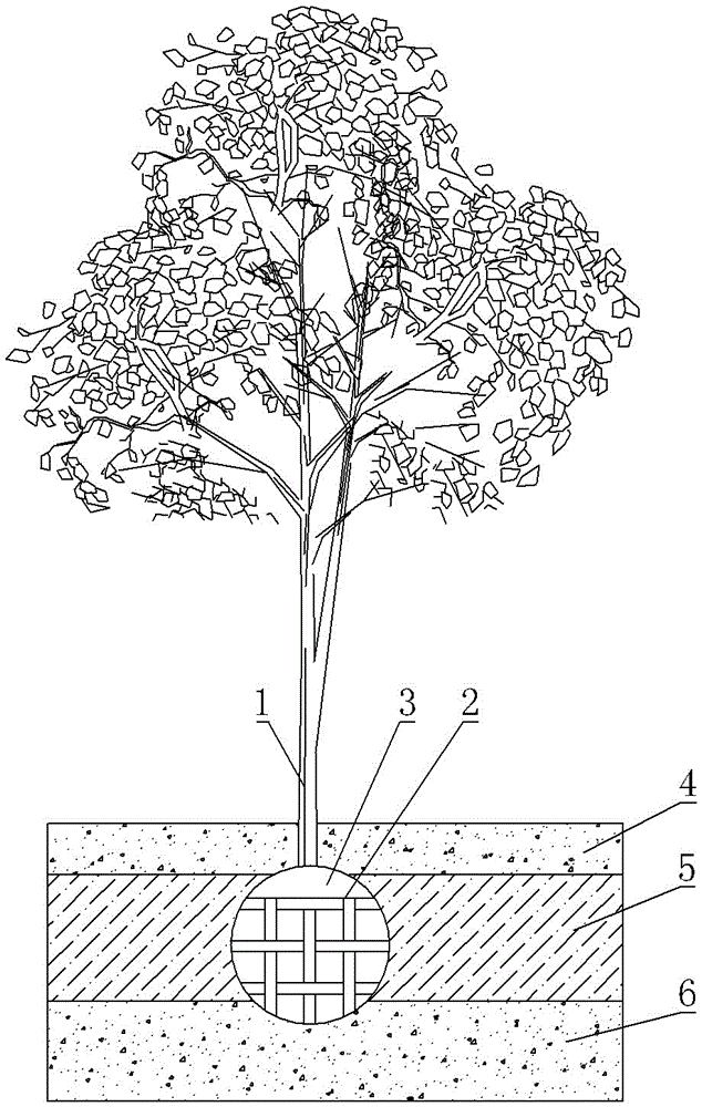 一种树木的假植结构的制造方法与工艺