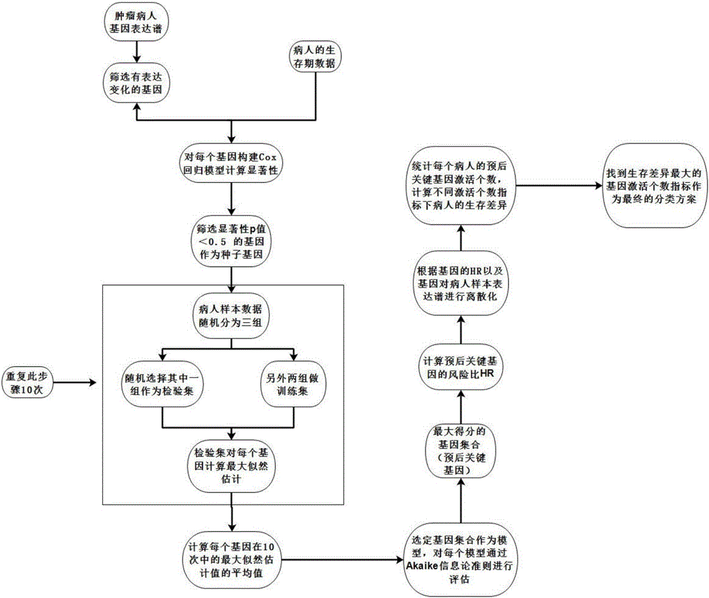 一種基于基因表達(dá)譜的胃癌預(yù)后標(biāo)志物篩選及分類(lèi)方法與制造工藝