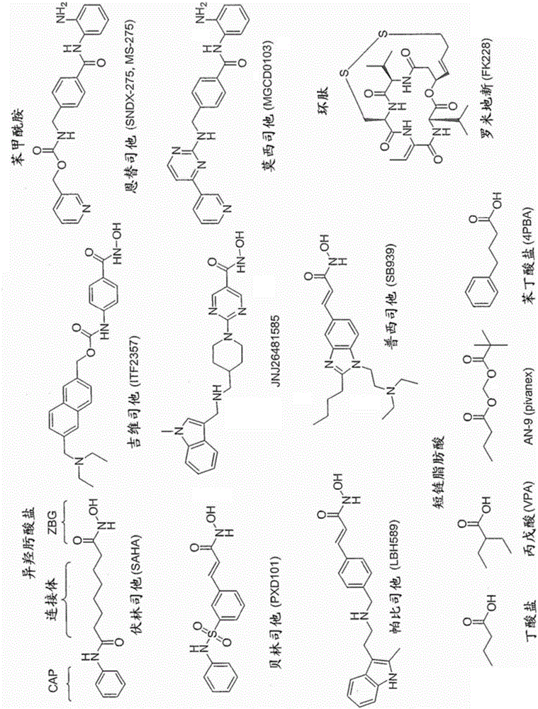 基于稠合嘧啶的异羟肟酸盐衍生物的制造方法与工艺