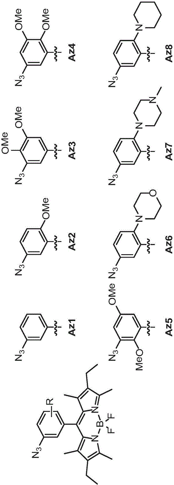 反应性标记化合物及其用途的制造方法与工艺