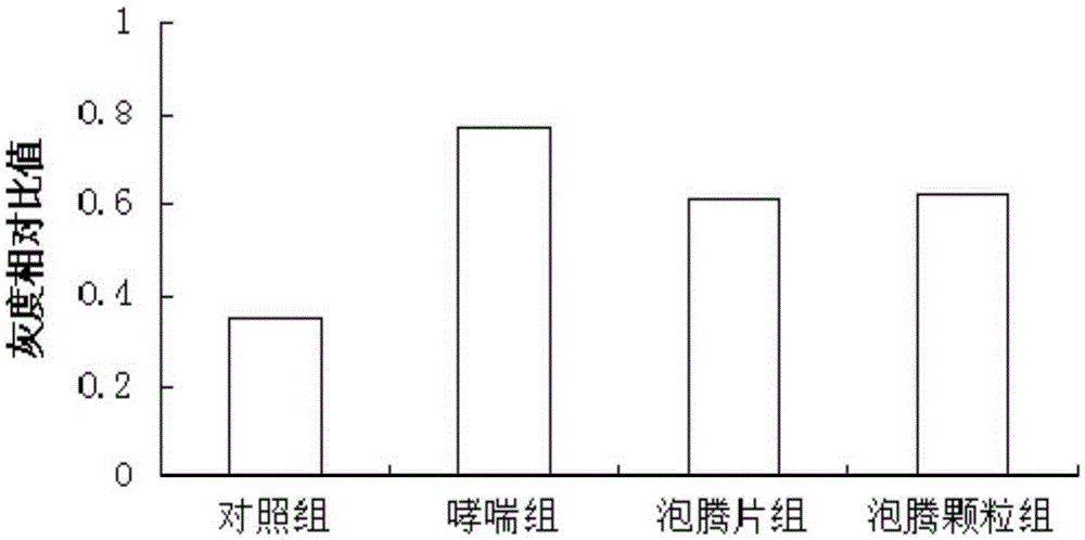 一种孟鲁司特钠泡腾制剂及其制备方法与制造工艺