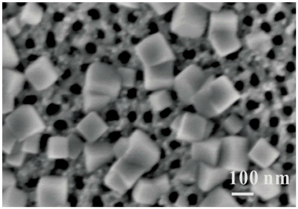 碳层包覆铬掺杂钛酸锶/二氧化钛纳米管光电极及制备与应用的制造方法与工艺