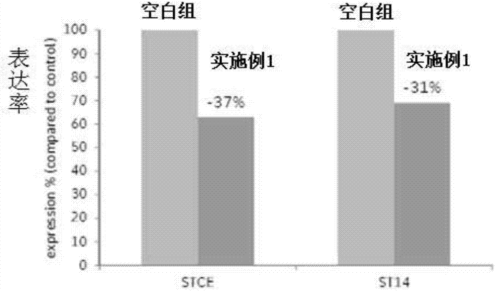 一种蓝宝石美白精粹的生产工艺的制作方法与工艺