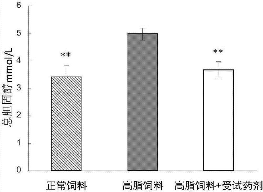 一種植物源性降糖降脂藥物的制作方法與工藝