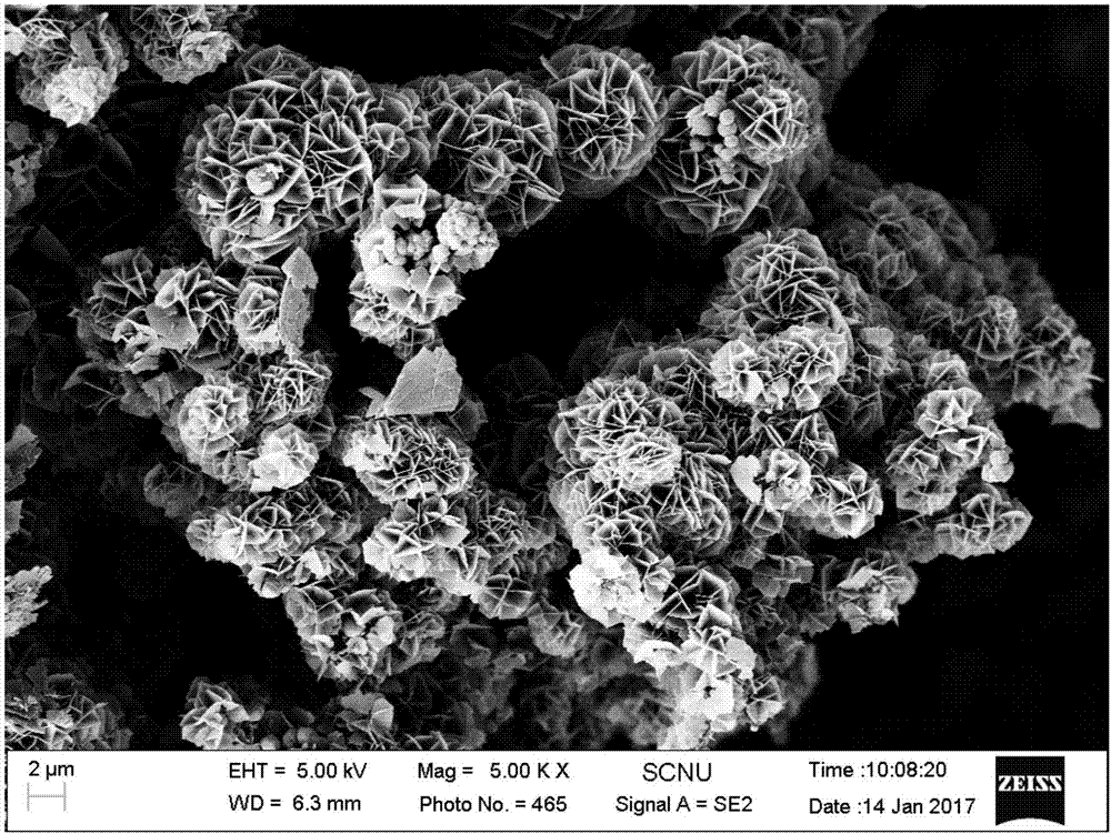 一種水處理用鎳基自生長三維材料及其制備方法與流程