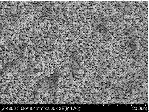 用于3D打印制备具有开口微孔陶瓷的组合物及使用方法与流程