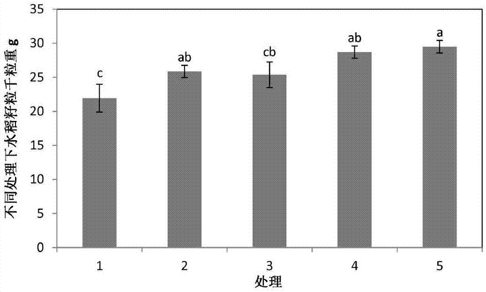 一種降低水稻籽粒中砷含量的葉面噴施肥的制作方法與工藝